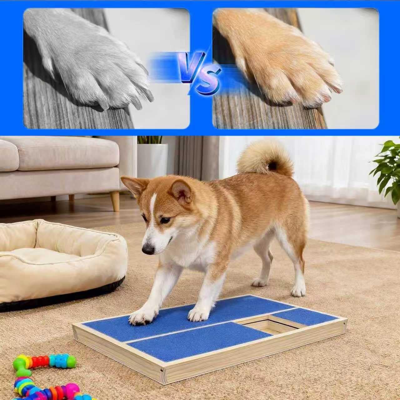 Dog Nail Scratch Pad with Treat Box, Solid Wood Nail Filing Board That Trims Nails Naturally Without Clippers for Dogs That Hate Nail Cutting, Indoor and Outdoor Training Tool (Blue)