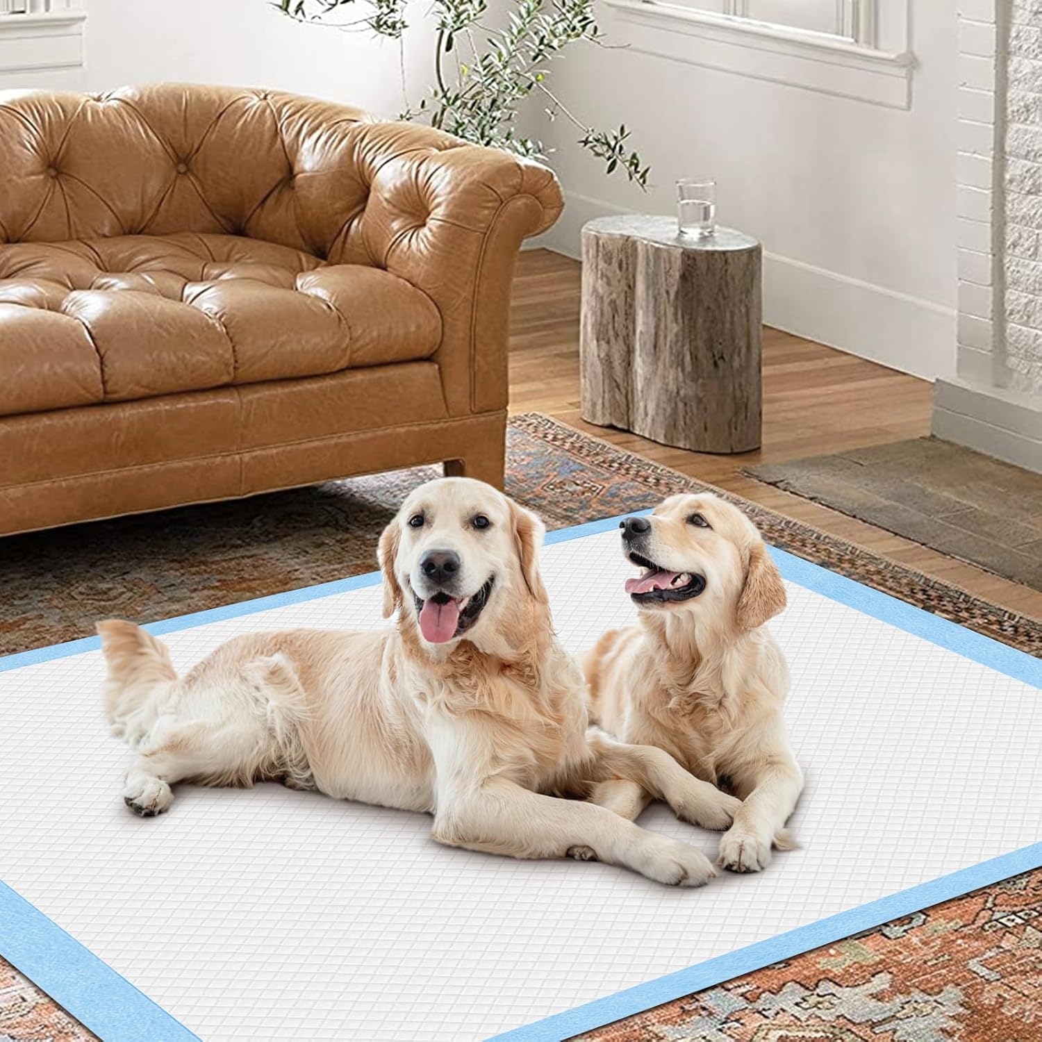 XXXL 31X47” 40 Count 1200ML Super Absorbent Thicken 6-Layer Ultra Large Dog Pee Pads — Leak-Proof Odor-Control Quick-Dry Training Pads for Large Senior Dogs, Puppies, Cats & Pets