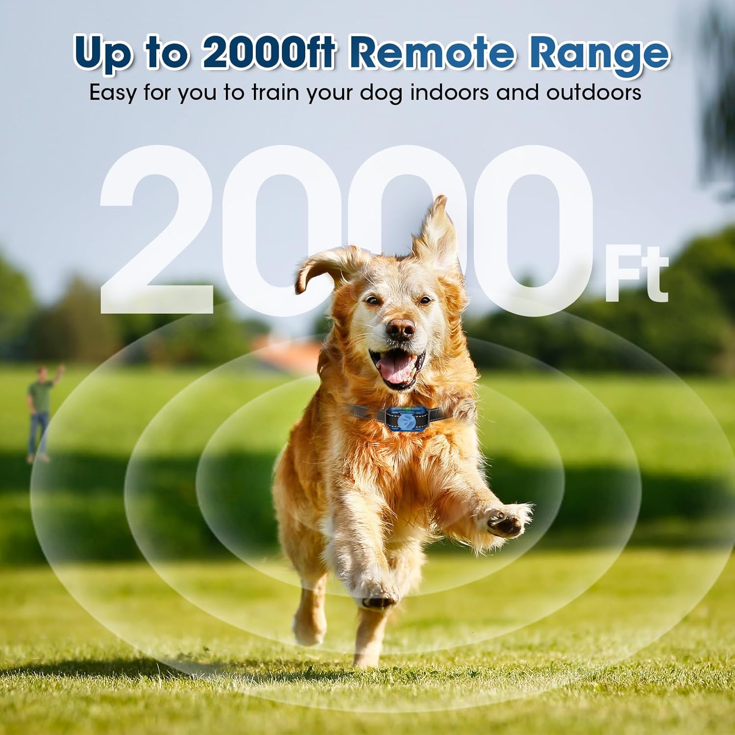 Small Shock Collar for Small Dogs(5-30Lbs), Dog Training Collar with Remote for Small & Medium Dogs, Waterproof, Rechargeable Collar with Beep, Vibration, Safe Shock,2000ft,Blue