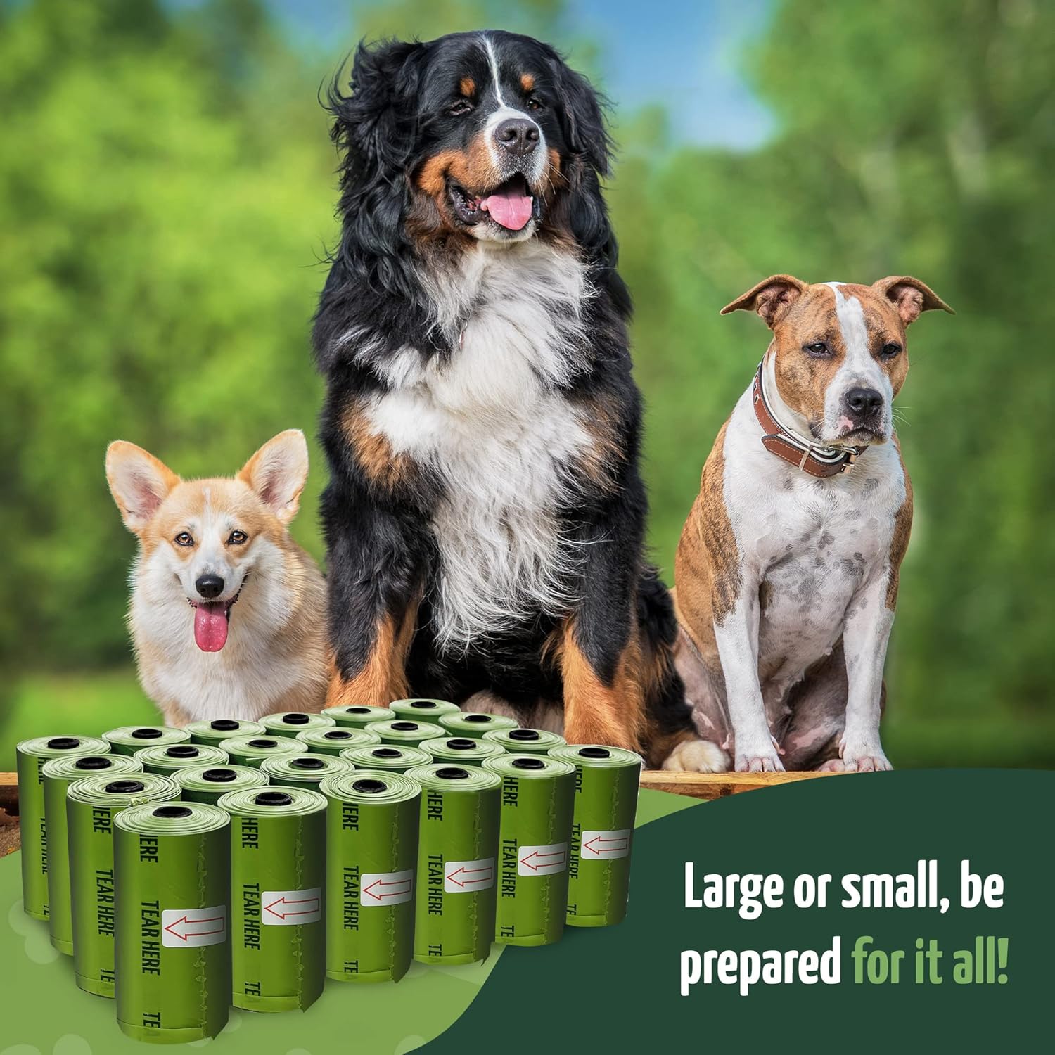 Biodegradable Dog Poop Bags w/Holder (1200 Count - 80 Rolls Bulk) | Leash Clip Dispenser | 9x13" Large Dog Bags for Poop | Green Eco-Friendly Oxobiodegradable Waste Disposal Refills (Unscented)